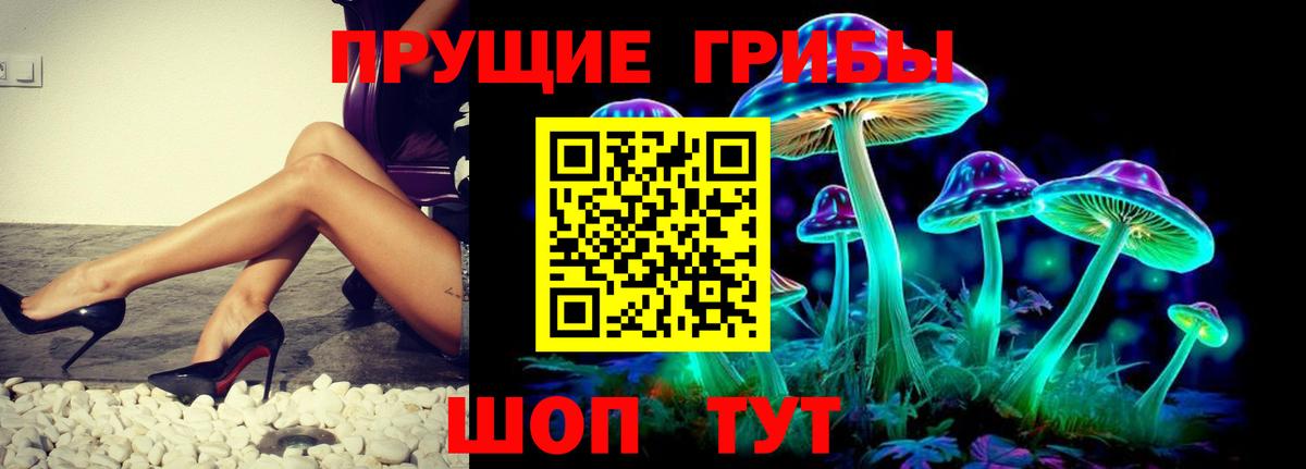 Псилоцибиновые грибы MAGIC MUSHROOMS  Псилоцибиновые грибы Psilocybine cubensis  Новотроицк  Вход с VPN 