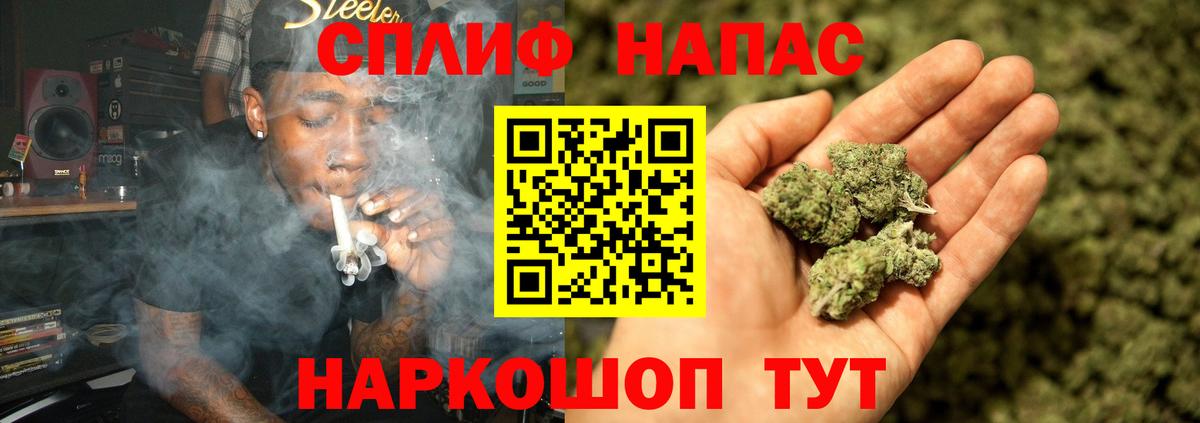 Марихуана гибрид Новотроицк